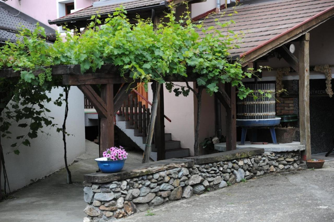 Wellness B&B Winery Sontacchi Kutjevo Екстериор снимка